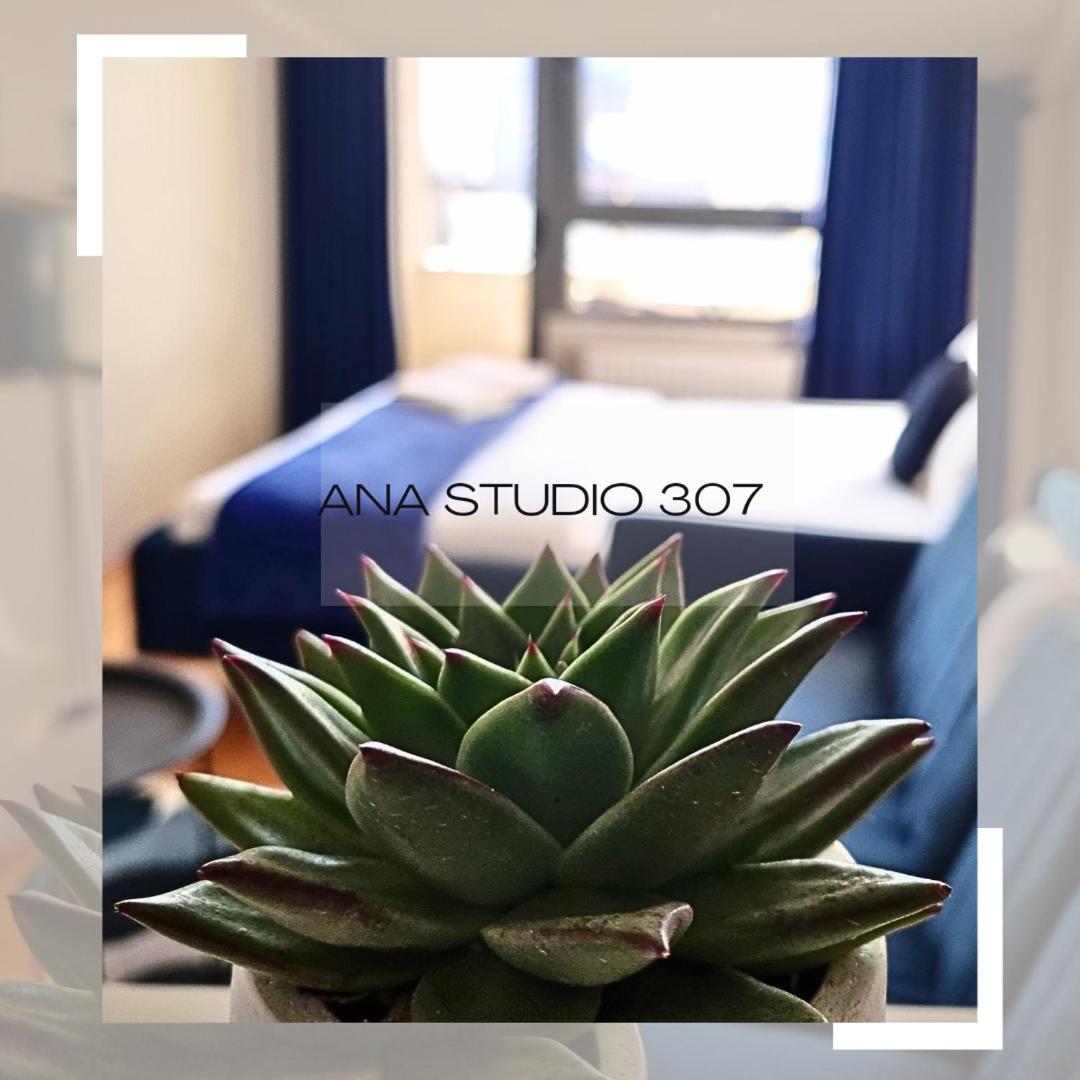 Apartamento Ana Studio 307 Pristina Exterior foto
